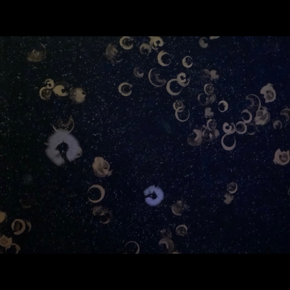 Meet your Posher, Beth&carys